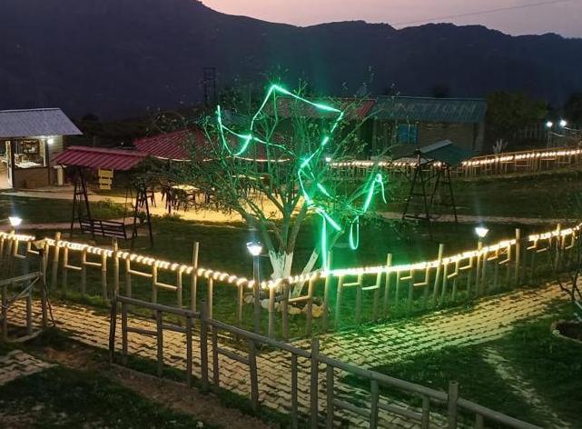 Bamboo Junction Resort