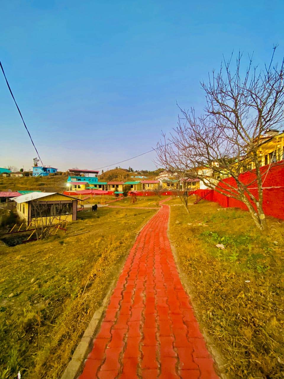 WhatsApp Image 2025-12-12 at 3.36.44 PM